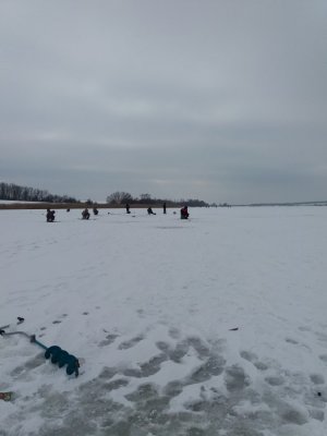 20170111_123614.jpg