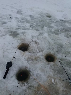 20170111_123603.jpg