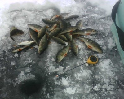 IMG0497A.jpg