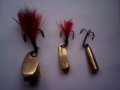 IMG0721A.jpg