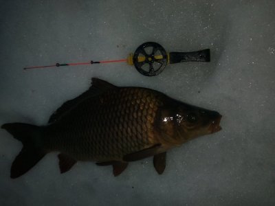 IMG_20170112_161748.jpg