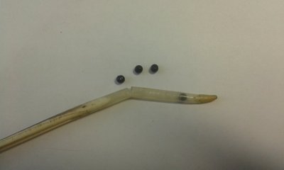 20170120_103728.jpg