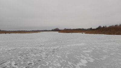 IMG_20170121_102517.jpg