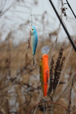 IMG_7945.JPG