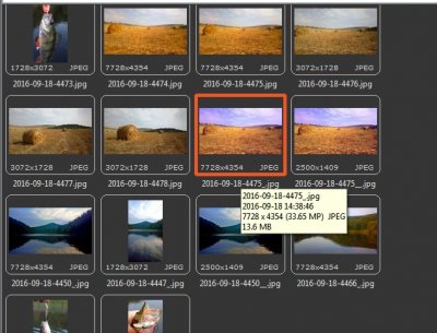 Фото.jpg