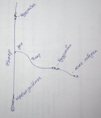 2fbe8cb5bf72.jpg