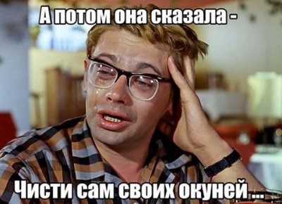 картинка.jpg