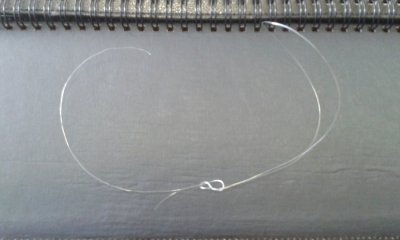 20170130_114521.jpg