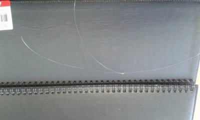 20170130_114813.jpg
