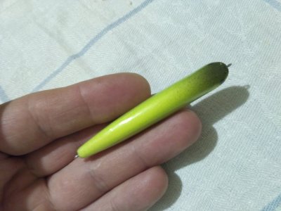IMG_20170130_200520.jpg