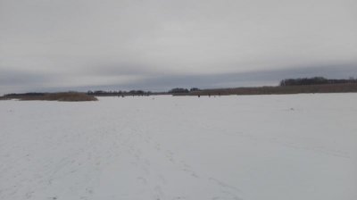 IMG_20170129_122208.jpg