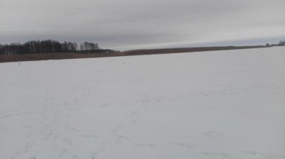 IMG_20170129_122219.jpg