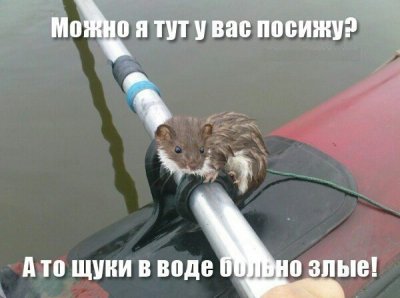 image-0-02-05-214255d9b09e590e1a81825e8c7d271400294cf40a0a244c1d889f4ed538af29-V.jpg