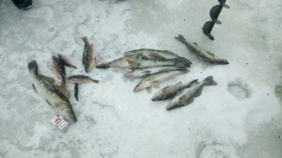 DSC_0321.JPG