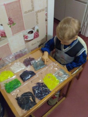 IMG_20170209_205636.jpg