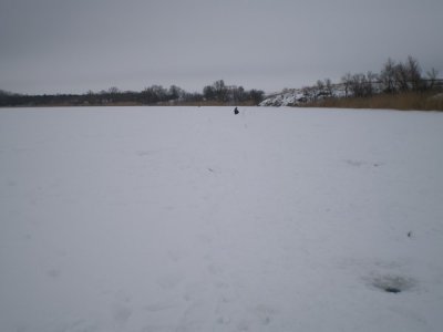 P2123565 (Копировать).JPG