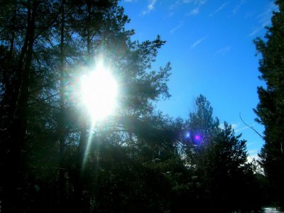 PICT1132.JPG