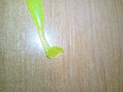 IMG_20170217_010918.jpg