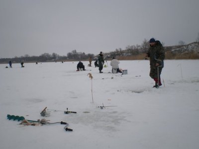 P2183549 (Копировать).JPG