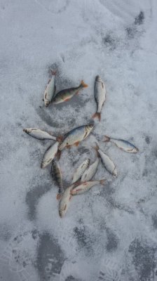 20170212_150130.jpg