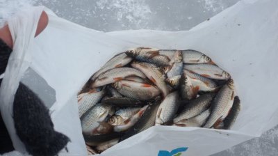 20170212_153002.jpg