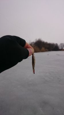 DSC_2019.JPG