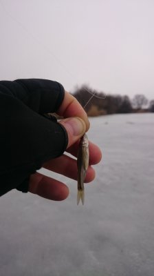 DSC_2014.JPG