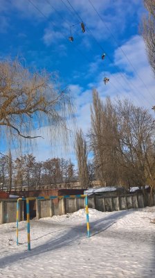 WP_20170212_13_59_47_Pro.jpg