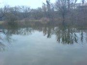 DSC02788.JPG