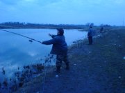 DSC02785.JPG