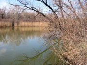 IMG_8328.JPG