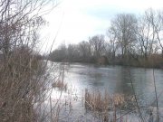 IMG_8330.JPG