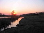 IMG_8341.JPG