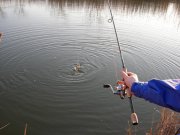 DSCN3449.JPG