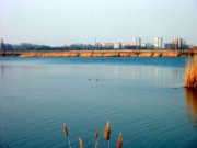IMG_8381.JPG