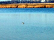 IMG_8382.JPG