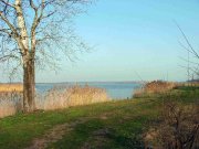 IMG_8388.JPG
