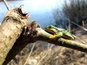 IMG_6384.jpg