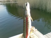 20090410(013).jpg