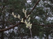 DSCN4598.JPG