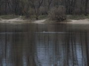 DSCN4600.JPG