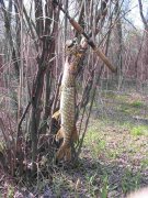 IMG_8412.JPG