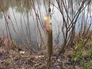 IMG_8415.JPG