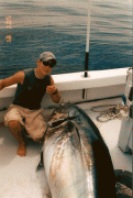 322_Thumbs-up.gif