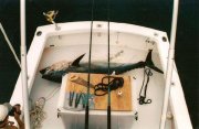 480_In-the-boat.jpg