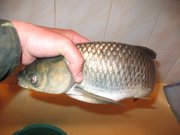IMG_2759.jpg