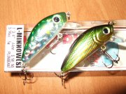 DSCF0732.JPG