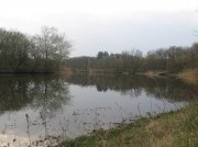 IMG_2711.jpg