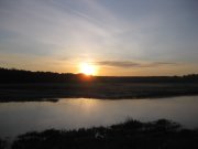 IMG_0681.jpg