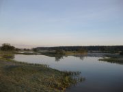 IMG_0683.jpg